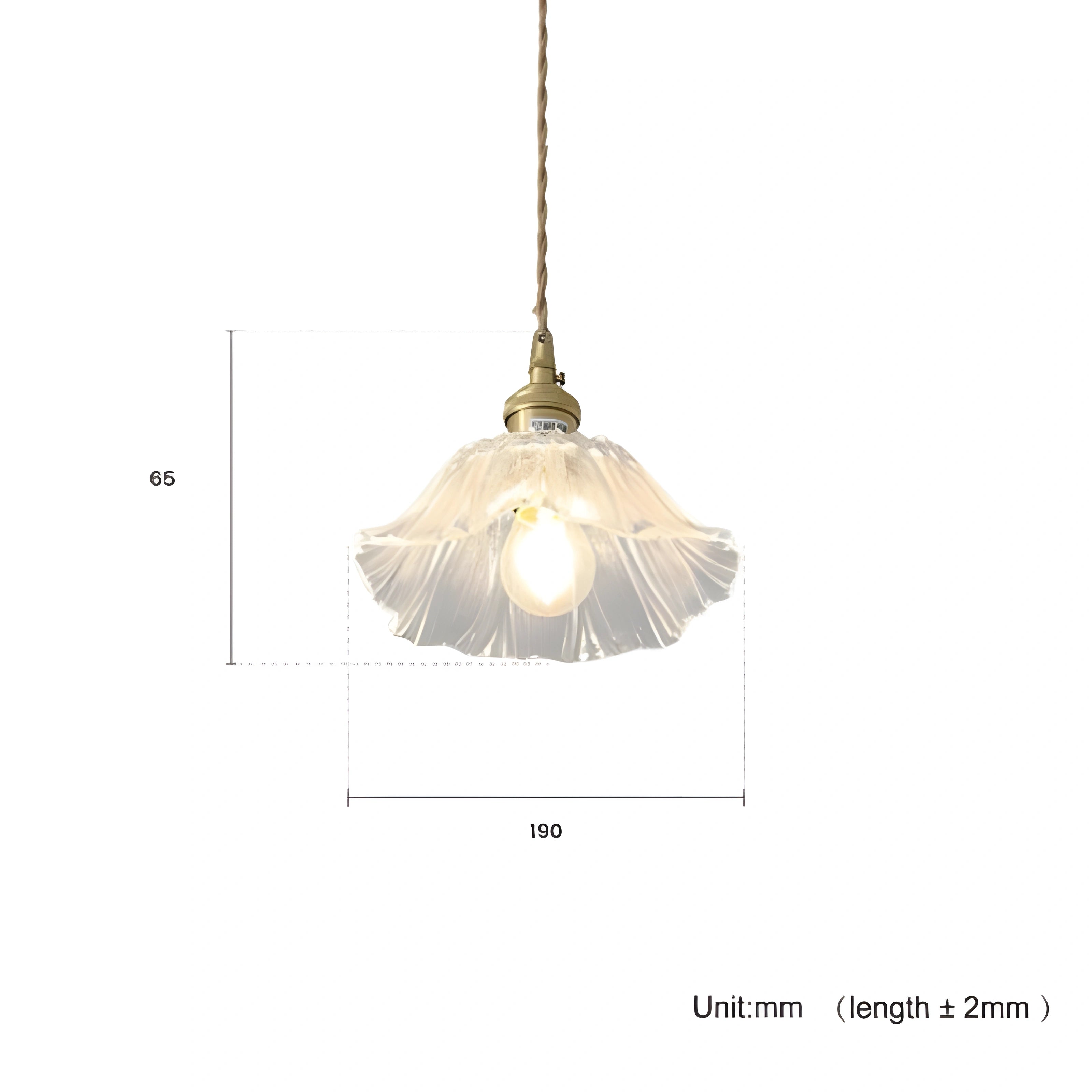 Lampada a sospensione in vetro con fiore retrò (30).webp__PID:522e0a31-bc2b-4265-a47e-2746a77b059c